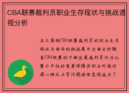 CBA联赛裁判员职业生存现状与挑战透视分析